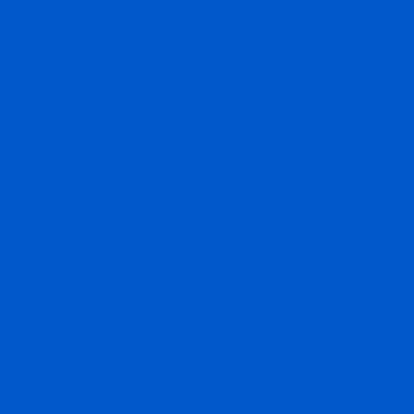 FLUID BEAR PAINTS