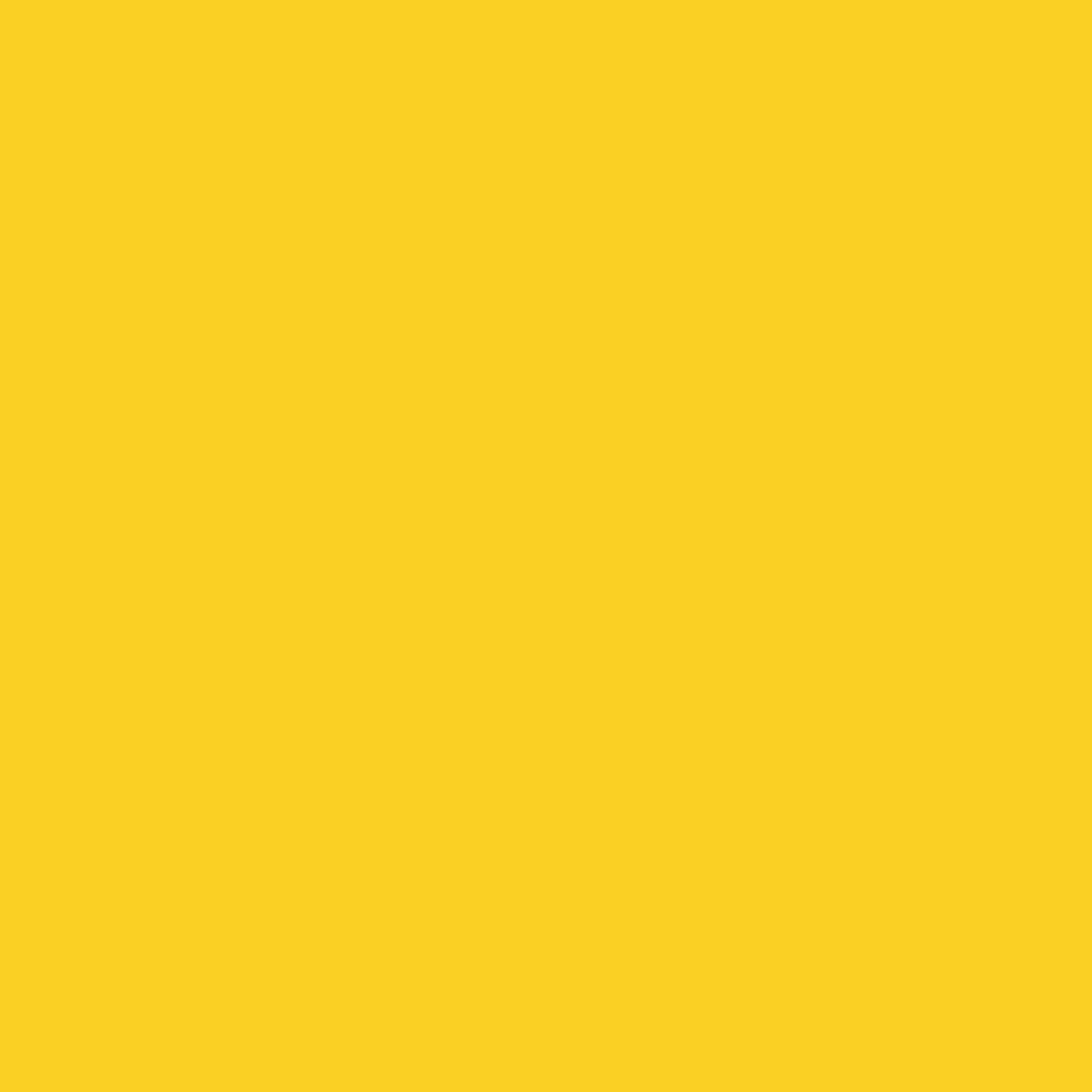 FLUID BEAR PAINTS