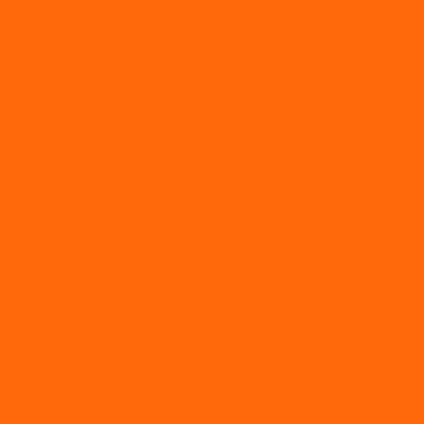 FLUID BEAR PAINTS