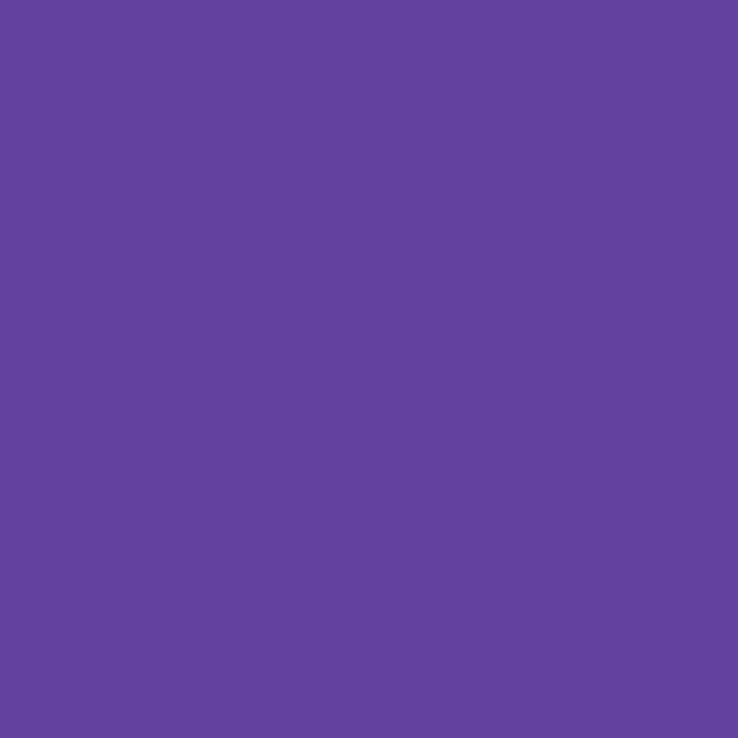 FLUID BEAR PAINTS