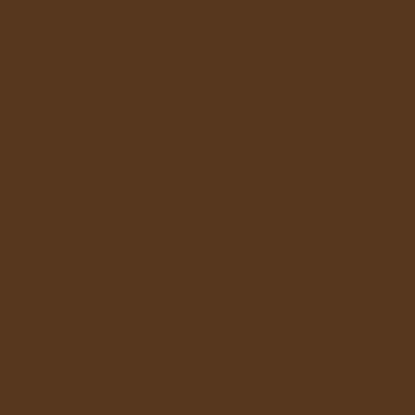 FLUID BEAR PAINTS