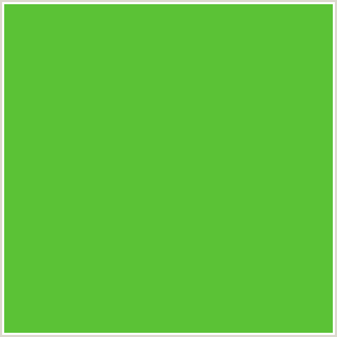 FLUID BEAR PAINTS